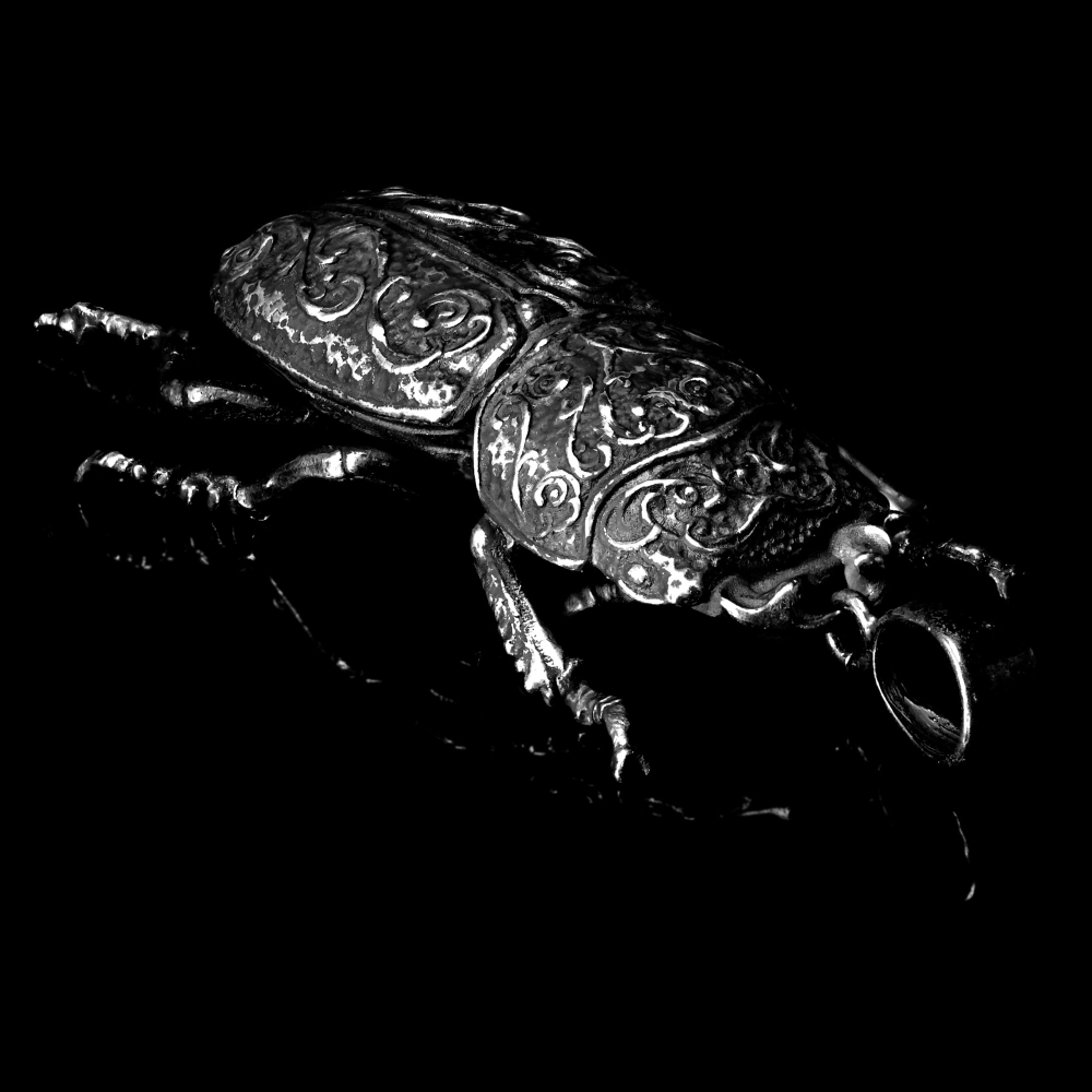 DORCUS PARALLELIPIPEDUS