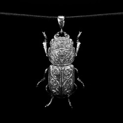 DORCUS PARALLELIPIPEDUS