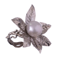 Gardenia Thunbergia Alba