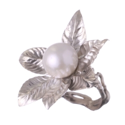 Gardenia Thunbergia Alba